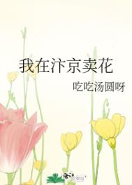 我在汴京卖花番外免费阅读封面